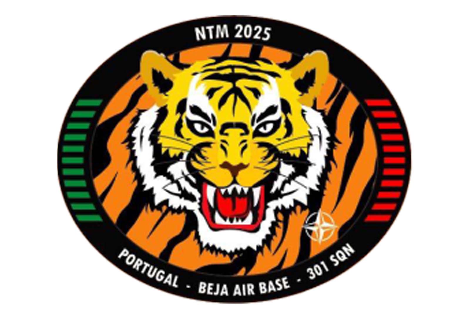 NTM2025 Badge